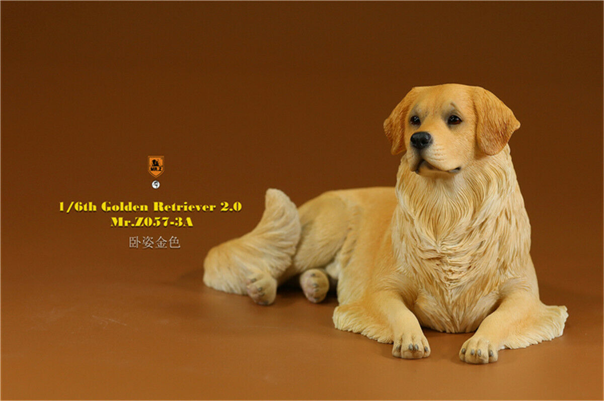 Mr.Z 1/6 Golden Retriever Figure Pet Dog Animal Model Colllector Decor Toys Animals Model Collectible Toys Dog For kid Mr.Z 1/6 Golden Retriever Figure Pet Dog Animal Model Colllector Decor Toys Animals Model Collectible Toys Dog For kid