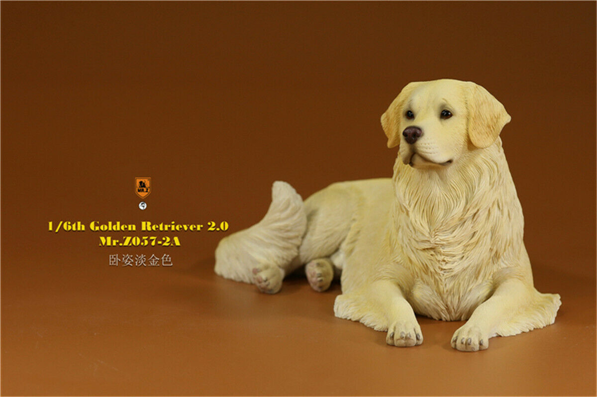 Mr.Z 1/6 Golden Retriever Figure Pet Dog Animal Model Colllector Decor Toys Animals Model Collectible Toys Dog For kid Mr.Z 1/6 Golden Retriever Figure Pet Dog Animal Model Colllector Decor Toys Animals Model Collectible Toys Dog For kid