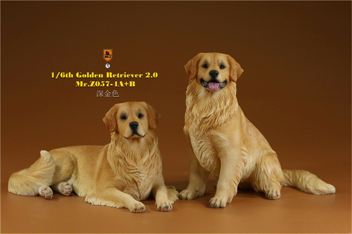 Mr.Z 1/6 Golden Retriever Figure Pet Dog Animal Model Colllector Decor Toys Animals Model Collectible Toys Dog For kid Mr.Z 1/6 Golden Retriever Figure Pet Dog Animal Model Colllector Decor Toys Animals Model Collectible Toys Dog For kid