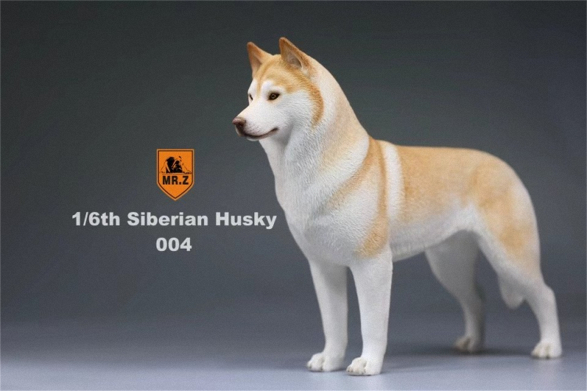 Mr.Z Studio 1:6 Simulation Siberian Husky Dog Pet Huskie Figure Animal Decor Model Toy Kid Gift Resin Ornaments Dog Hand To Do Mr.Z Studio 1:6 Simulation Siberian Husky Dog Pet Huskie Figure Animal Decor Model Toy Kid Gift Resin Ornaments Dog Hand To Do