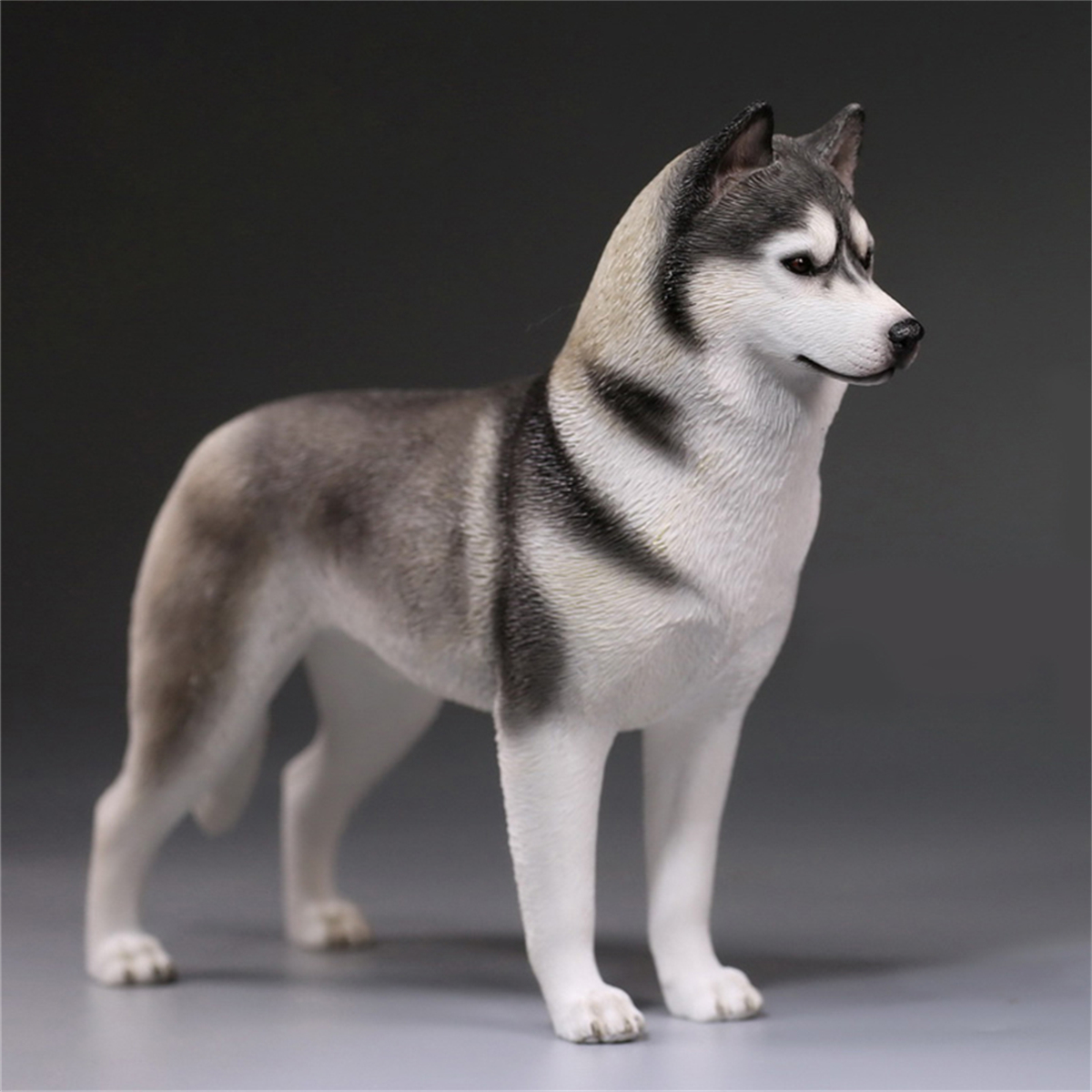 Mr.Z Studio 1:6 Simulation Siberian Husky Dog Pet Huskie Figure Animal Decor Model Toy Kid Gift Resin Ornaments Dog Hand To Do Mr.Z Studio 1:6 Simulation Siberian Husky Dog Pet Huskie Figure Animal Decor Model Toy Kid Gift Resin Ornaments Dog Hand To Do