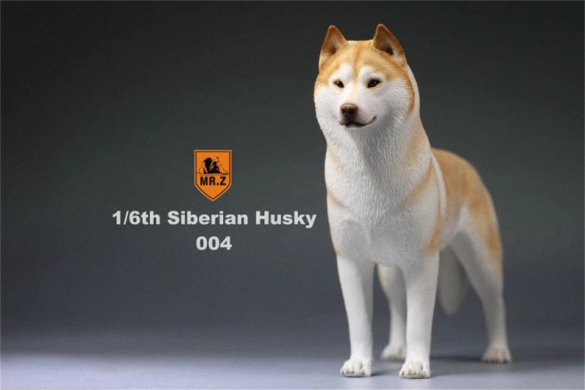 Mr.Z Studio 1:6 Simulation Siberian Husky Dog Pet Huskie Figure Animal Decor Model Toy Kid Gift Resin Ornaments Dog Hand To Do Mr.Z Studio 1:6 Simulation Siberian Husky Dog Pet Huskie Figure Animal Decor Model Toy Kid Gift Resin Ornaments Dog Hand To Do