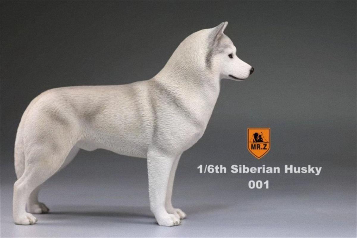Mr.Z Studio 1:6 Simulation Siberian Husky Dog Pet Huskie Figure Animal Decor Model Toy Kid Gift Resin Ornaments Dog Hand To Do Mr.Z Studio 1:6 Simulation Siberian Husky Dog Pet Huskie Figure Animal Decor Model Toy Kid Gift Resin Ornaments Dog Hand To Do