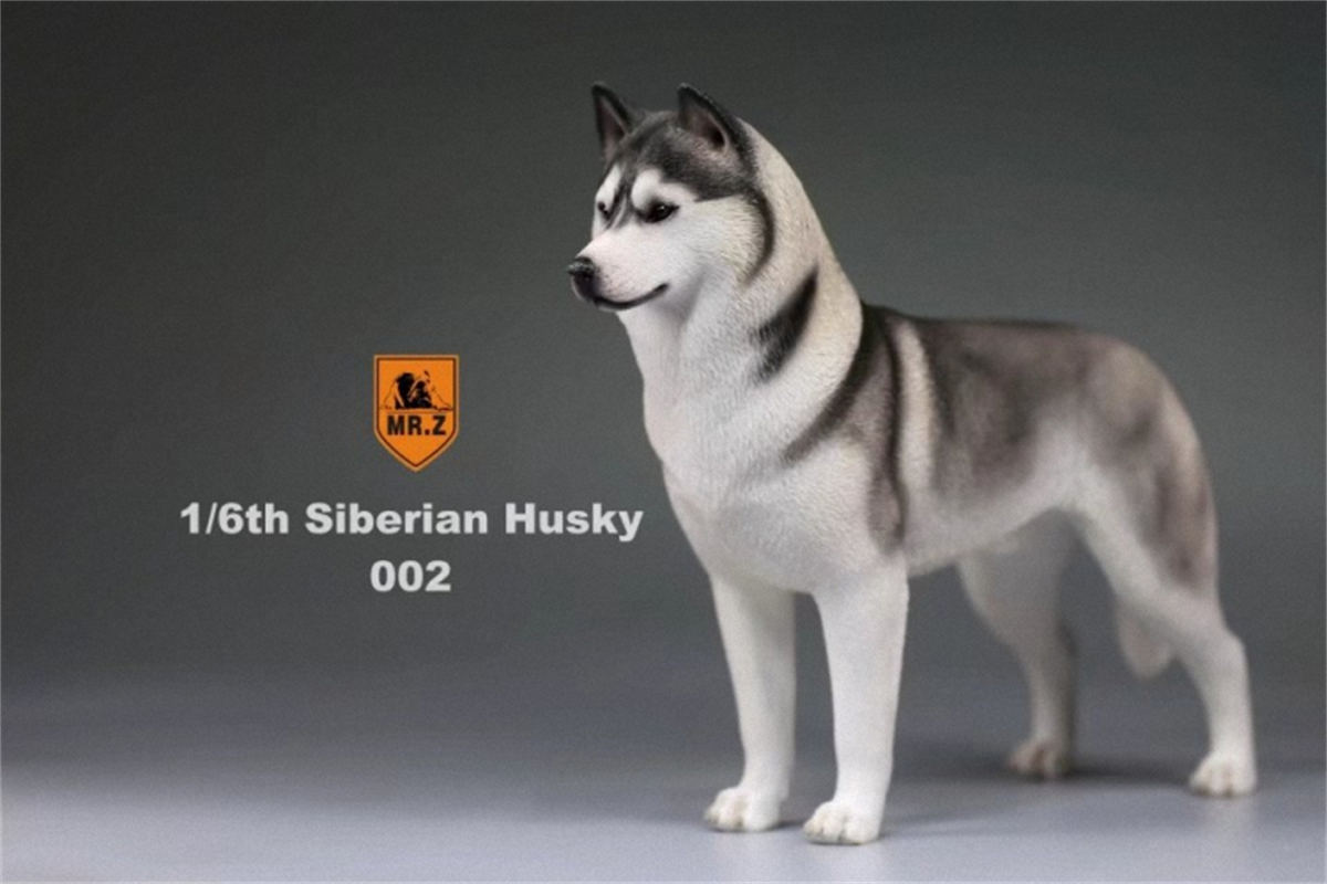 Mr.Z Studio 1:6 Simulation Siberian Husky Dog Pet Huskie Figure Animal Decor Model Toy Kid Gift Resin Ornaments Dog Hand To Do Mr.Z Studio 1:6 Simulation Siberian Husky Dog Pet Huskie Figure Animal Decor Model Toy Kid Gift Resin Ornaments Dog Hand To Do
