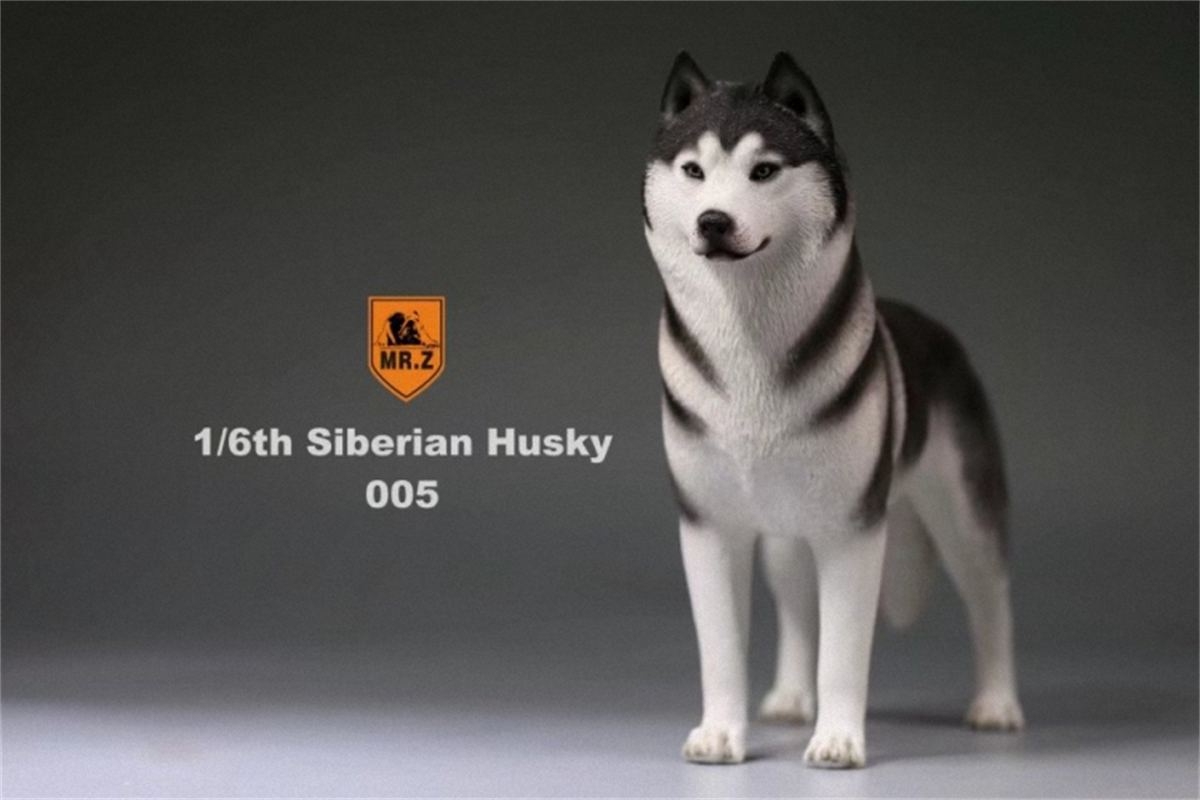 Mr.Z Studio 1:6 Simulation Siberian Husky Dog Pet Huskie Figure Animal Decor Model Toy Kid Gift Resin Ornaments Dog Hand To Do Mr.Z Studio 1:6 Simulation Siberian Husky Dog Pet Huskie Figure Animal Decor Model Toy Kid Gift Resin Ornaments Dog Hand To Do