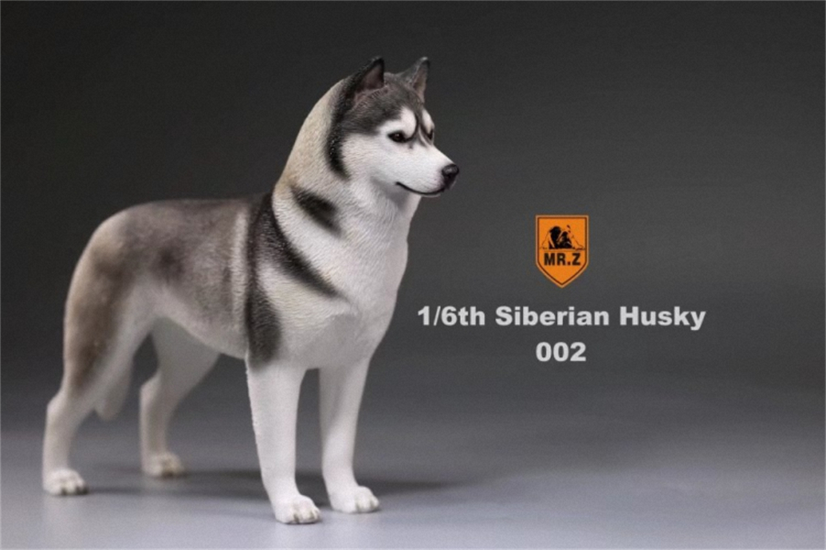 Mr.Z Studio 1:6 Simulation Siberian Husky Dog Pet Huskie Figure Animal Decor Model Toy Kid Gift Resin Ornaments Dog Hand To Do Mr.Z Studio 1:6 Simulation Siberian Husky Dog Pet Huskie Figure Animal Decor Model Toy Kid Gift Resin Ornaments Dog Hand To Do
