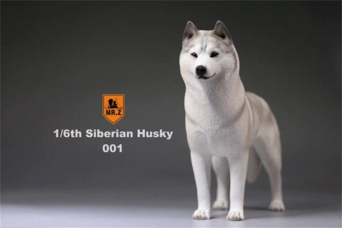 Mr.Z Studio 1:6 Simulation Siberian Husky Dog Pet Huskie Figure Animal Decor Model Toy Kid Gift Resin Ornaments Dog Hand To Do Mr.Z Studio 1:6 Simulation Siberian Husky Dog Pet Huskie Figure Animal Decor Model Toy Kid Gift Resin Ornaments Dog Hand To Do