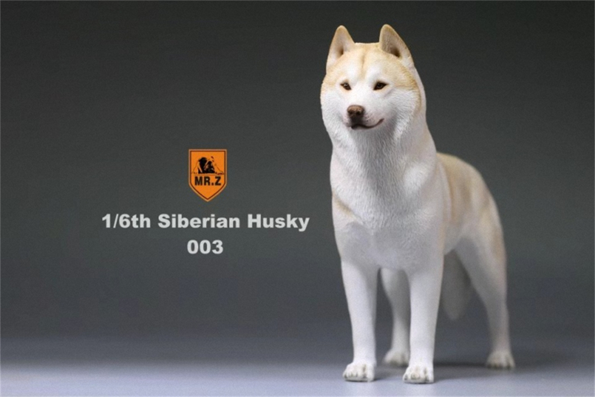 Mr.Z Studio 1:6 Simulation Siberian Husky Dog Pet Huskie Figure Animal Decor Model Toy Kid Gift Resin Ornaments Dog Hand To Do Mr.Z Studio 1:6 Simulation Siberian Husky Dog Pet Huskie Figure Animal Decor Model Toy Kid Gift Resin Ornaments Dog Hand To Do