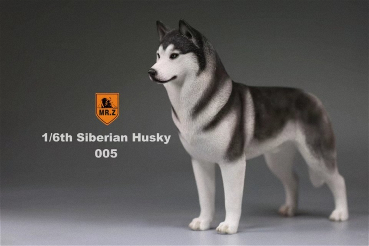 Mr.Z Studio 1:6 Simulation Siberian Husky Dog Pet Huskie Figure Animal Decor Model Toy Kid Gift Resin Ornaments Dog Hand To Do Mr.Z Studio 1:6 Simulation Siberian Husky Dog Pet Huskie Figure Animal Decor Model Toy Kid Gift Resin Ornaments Dog Hand To Do