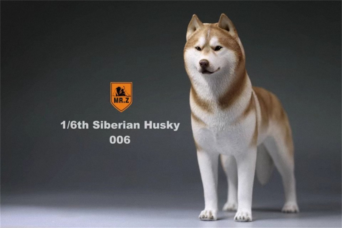 Mr.Z Studio 1:6 Simulation Siberian Husky Dog Pet Huskie Figure Animal Decor Model Toy Kid Gift Resin Ornaments Dog Hand To Do Mr.Z Studio 1:6 Simulation Siberian Husky Dog Pet Huskie Figure Animal Decor Model Toy Kid Gift Resin Ornaments Dog Hand To Do