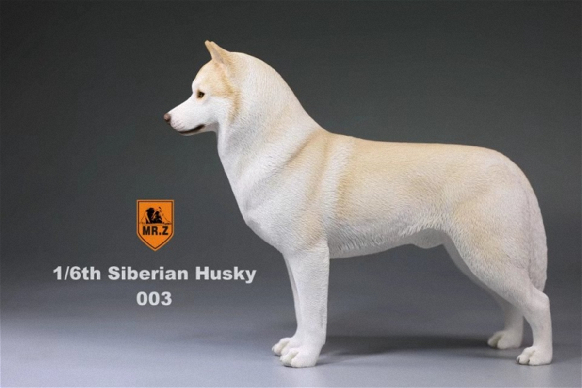 Mr.Z Studio 1:6 Simulation Siberian Husky Dog Pet Huskie Figure Animal Decor Model Toy Kid Gift Resin Ornaments Dog Hand To Do Mr.Z Studio 1:6 Simulation Siberian Husky Dog Pet Huskie Figure Animal Decor Model Toy Kid Gift Resin Ornaments Dog Hand To Do