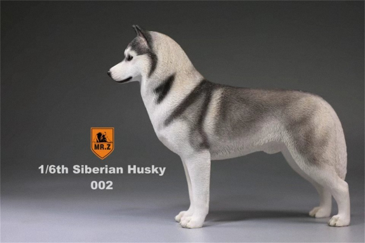 Mr.Z Studio 1:6 Simulation Siberian Husky Dog Pet Huskie Figure Animal Decor Model Toy Kid Gift Resin Ornaments Dog Hand To Do Mr.Z Studio 1:6 Simulation Siberian Husky Dog Pet Huskie Figure Animal Decor Model Toy Kid Gift Resin Ornaments Dog Hand To Do