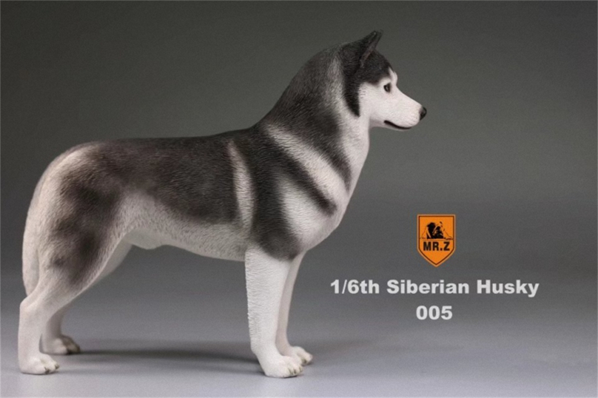 Mr.Z Studio 1:6 Simulation Siberian Husky Dog Pet Huskie Figure Animal Decor Model Toy Kid Gift Resin Ornaments Dog Hand To Do Mr.Z Studio 1:6 Simulation Siberian Husky Dog Pet Huskie Figure Animal Decor Model Toy Kid Gift Resin Ornaments Dog Hand To Do