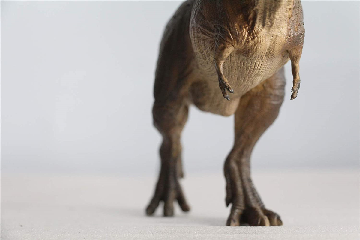 REBOR 1:35 GNG SA T-Rex Tyrannosaurus Rex Figure Dinosaur Collector Toys Animal Model Collector Decoration Gift Adult