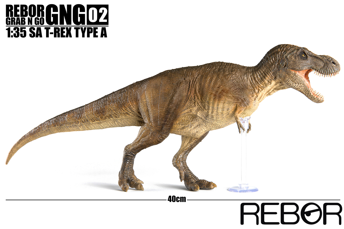 REBOR 1:35 GNG SA T-Rex Tyrannosaurus Rex Figure Dinosaur Collector Toys Animal Model Collector Decoration Gift Adult