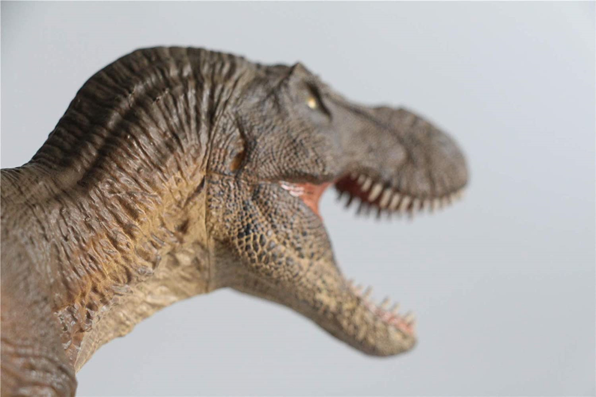 REBOR 1:35 GNG SA T-Rex Tyrannosaurus Rex Figure Dinosaur Collector Toys Animal Model Collector Decoration Gift Adult