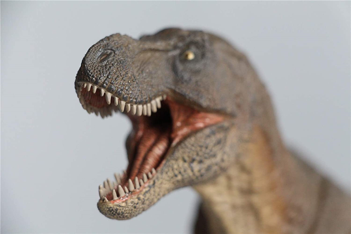 REBOR 1:35 GNG SA T-Rex Tyrannosaurus Rex Figure Dinosaur Collector Toys Animal Model Collector Decoration Gift Adult