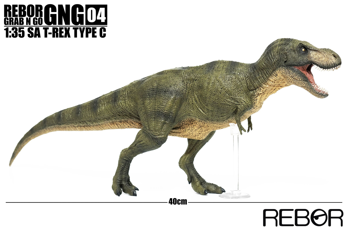 REBOR 1:35 GNG SA T-Rex Tyrannosaurus Rex Figure Dinosaur Collector Toys Animal Model Collector Decoration Gift Adult