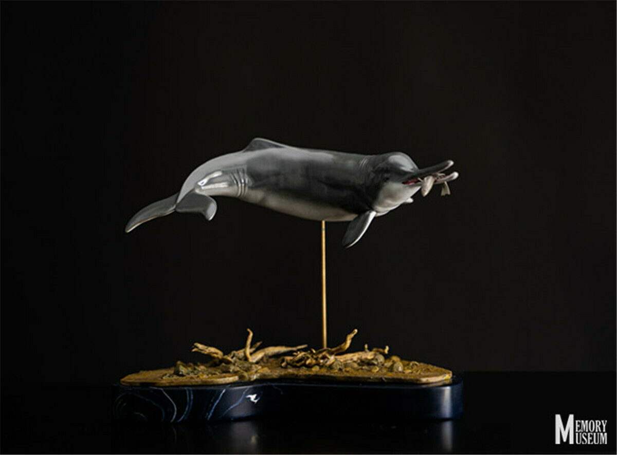 Memory Museum 1:15 Scale Chinese River Dolphin Statue Lipotes Vexillifer Collector Baiji Animal Resin Collector GK Toy Gift