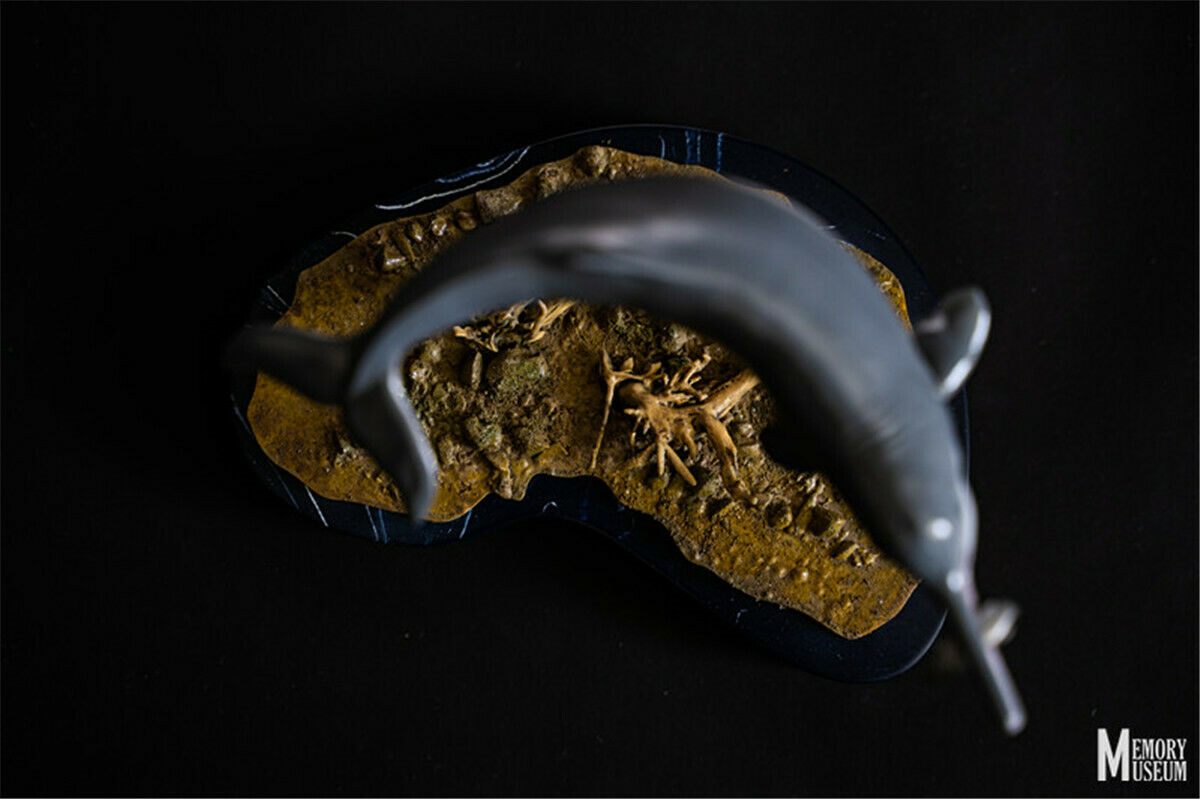 Memory Museum 1:15 Scale Chinese River Dolphin Statue Lipotes Vexillifer Collector Baiji Animal Resin Collector GK Toy Gift