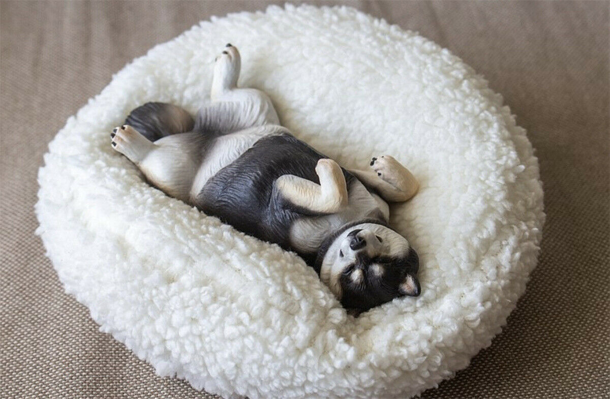 M7 Sleeping Shiba Inu Figure Pet Dog Animal Model Collector Car Decor Kids Gift Car Decoration Simulation Dogs Education Toys