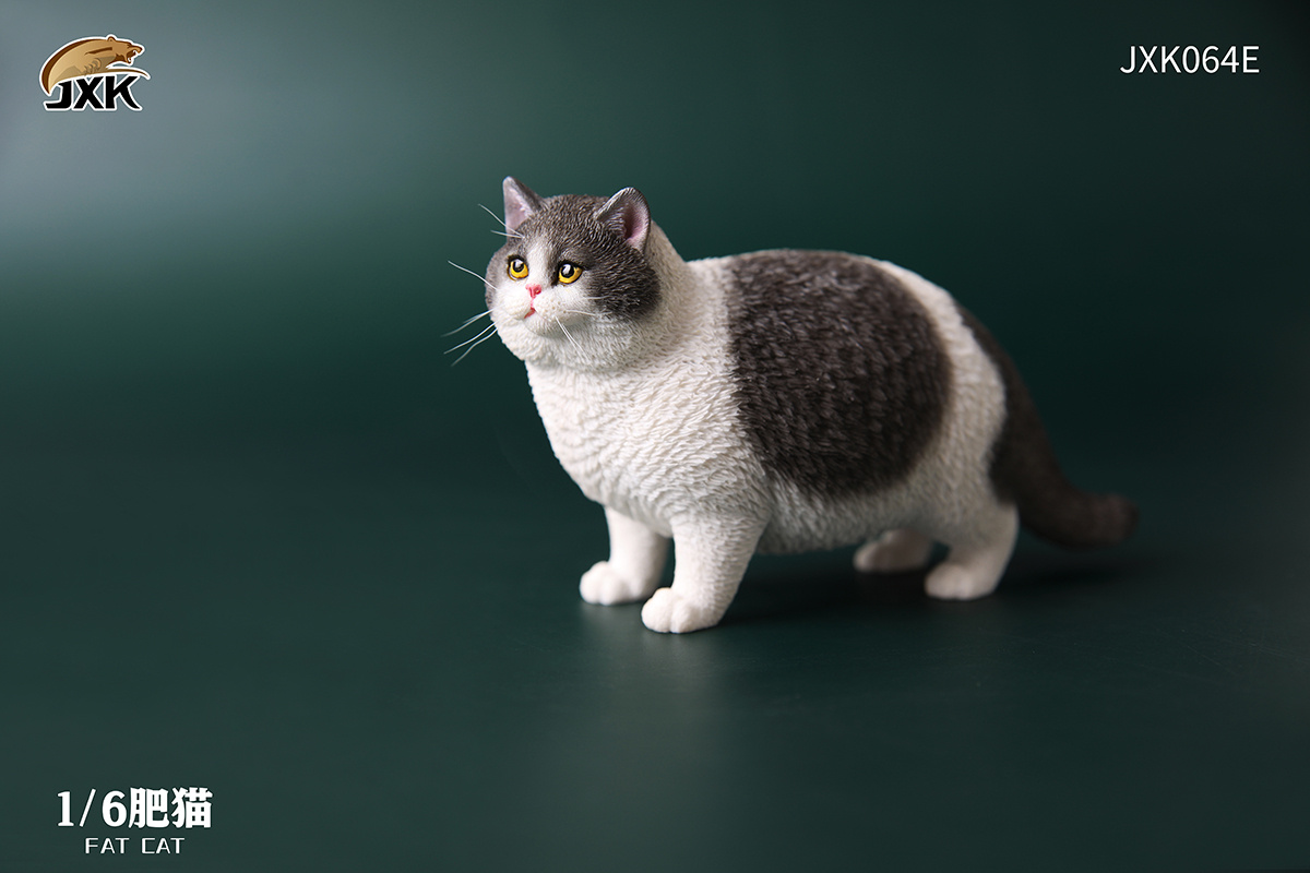 JXK 1:6 Scale Fat Cat Figure Cute Pet Animal Model Collector Kids Toy Gift Desktop Decor Shorthair Cat Trendy Ornaments JXK 1:6 Scale Fat Cat Figure Cute Pet Animal Model Collector Kids Toy Gift Desktop Decor Shorthair Cat Trendy Ornaments