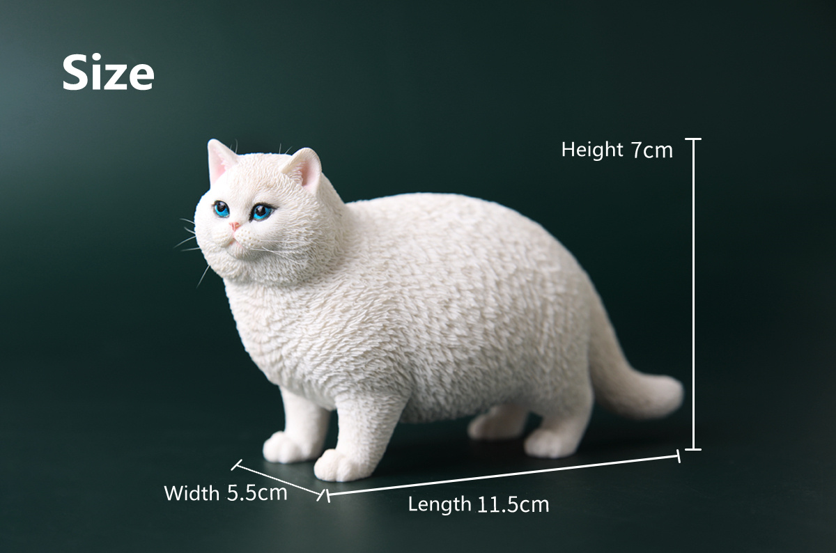 JXK 1:6 Scale Fat Cat Figure Cute Pet Animal Model Collector Kids Toy Gift Desktop Decor Shorthair Cat Trendy Ornaments JXK 1:6 Scale Fat Cat Figure Cute Pet Animal Model Collector Kids Toy Gift Desktop Decor Shorthair Cat Trendy Ornaments