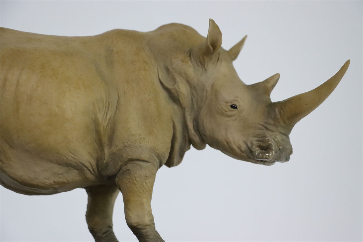 MM x Paleocraft 1/15 African White Rhino With Base Statue Rhinoceros Animal Model Collection Education Model Fingure Collector MM x Paleocraft 1/15 African White Rhino With Base Statue Rhinoceros Animal Model Collection Education Model Fingure Collector