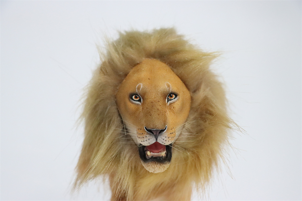 JXK 1/6th Lion 2.0 Model Flocking Figure Realistic Wild Animal Collector Christmas Decoration Ornaments Adults Kids Gift Toy JXK 1/6th Lion 2.0 Model Flocking Figure Realistic Wild Animal Collector Christmas Decoration Ornaments Adults Kids Gift Toy