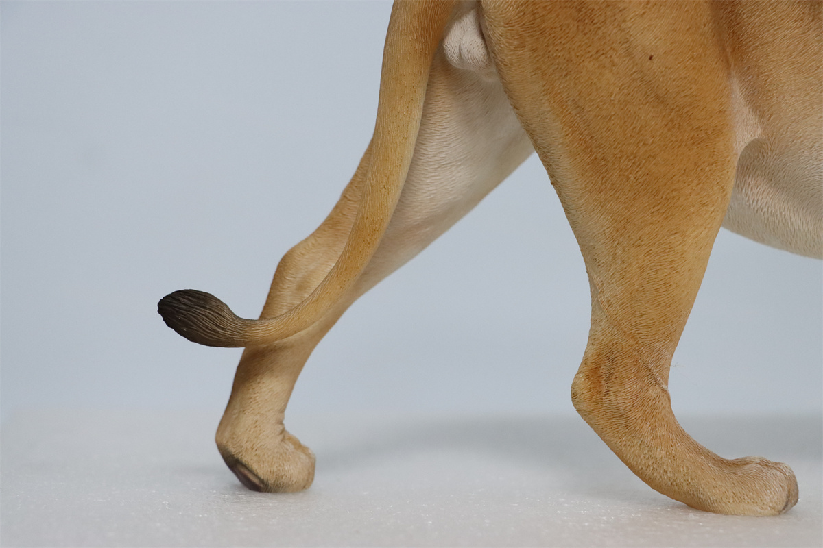 JXK 1/6th Lion 2.0 Model Flocking Figure Realistic Wild Animal Collector Christmas Decoration Ornaments Adults Kids Gift Toy JXK 1/6th Lion 2.0 Model Flocking Figure Realistic Wild Animal Collector Christmas Decoration Ornaments Adults Kids Gift Toy