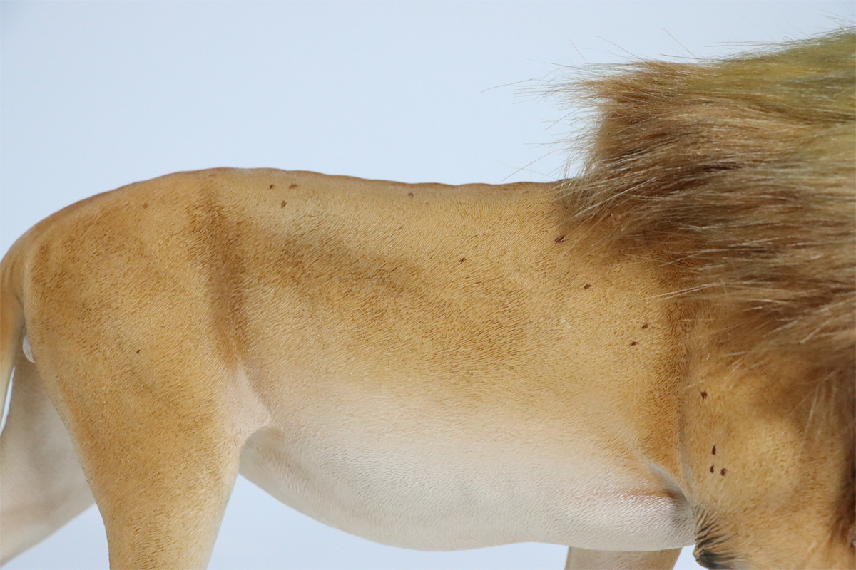 JXK 1/6th Lion 2.0 Model Flocking Figure Realistic Wild Animal Collector Christmas Decoration Ornaments Adults Kids Gift Toy JXK 1/6th Lion 2.0 Model Flocking Figure Realistic Wild Animal Collector Christmas Decoration Ornaments Adults Kids Gift Toy