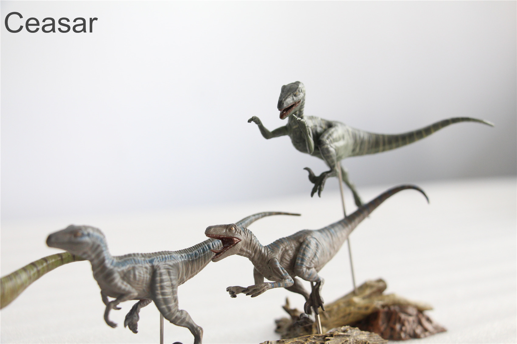 IN STOCK Nanmu 1/35 Raptorsquad Figure 4PCS Velociraptors Dinosaur Toy Baldwin Ceasar Diana Edgar Animal Model