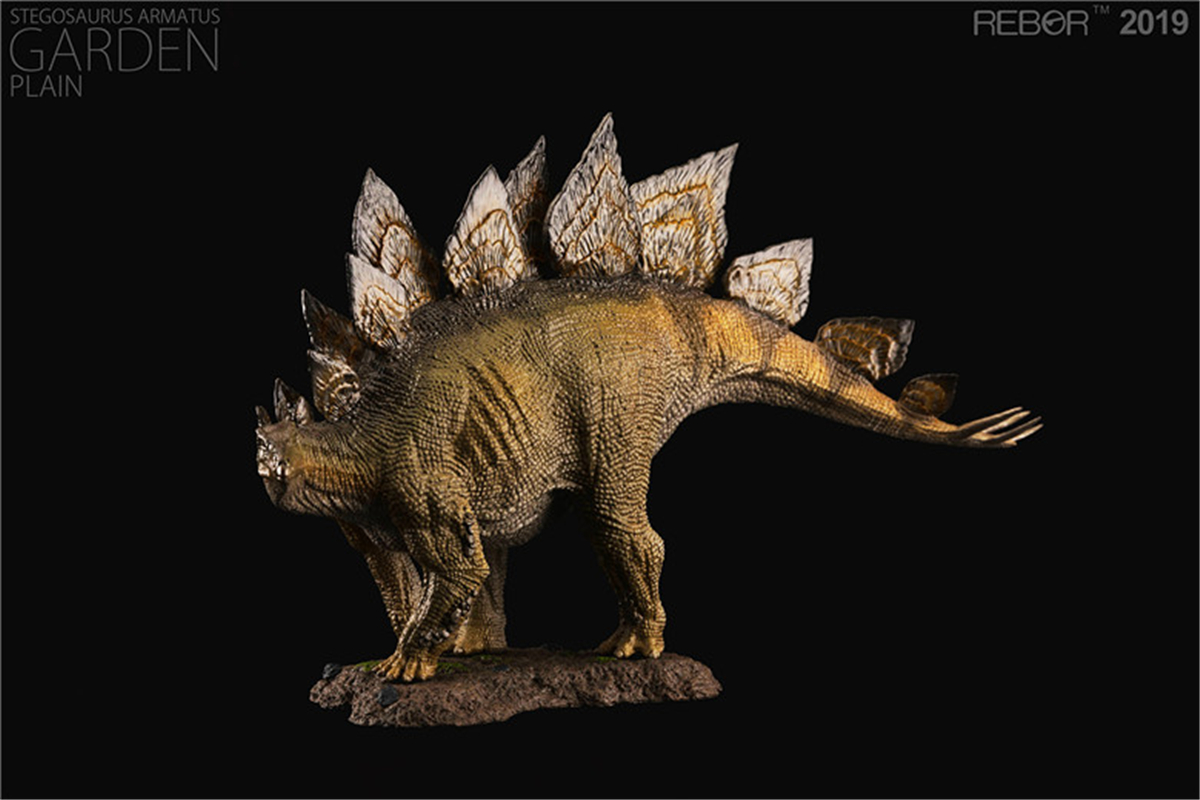 REBOR 1:35 Stegosaurus Armatus with Base Garden Statue Stegosauridae Jurassic Dinosaur Figure Animal Model Toy Collector Adult REBOR 1:35 Stegosaurus Armatus with Base Garden Statue Stegosauridae Jurassic Dinosaur Figure Animal Model Toy Collector Adult