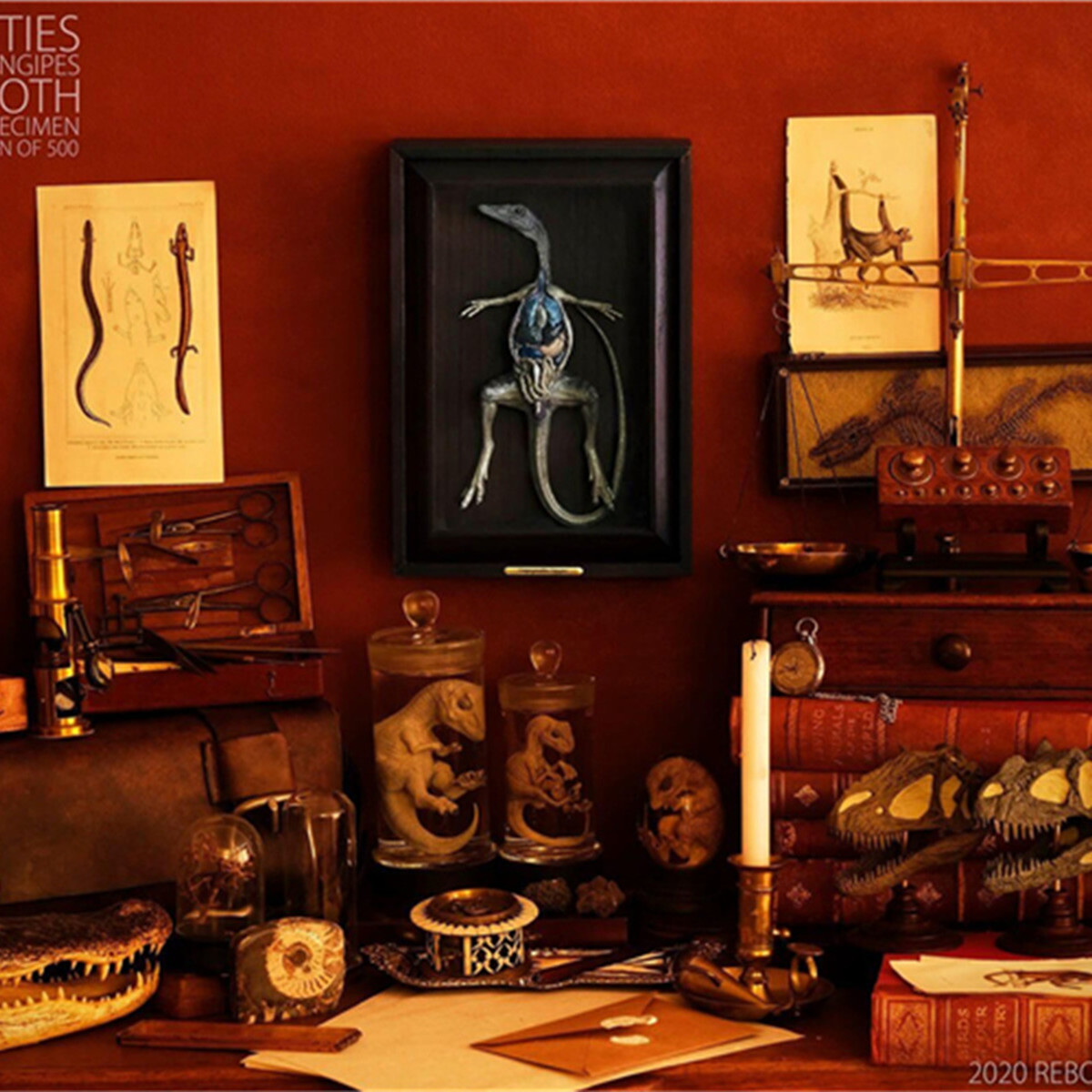 REBOR Compsognathus Anatomical Specimens Limited Model Animal Figure Collector Toys for Children Xmas Gift Dinosaur Model Animal REBOR Compsognathus Anatomical Specimens Limited Model Animal Figure Collector Toys for Children Xmas Gift Dinosaur Model Animal