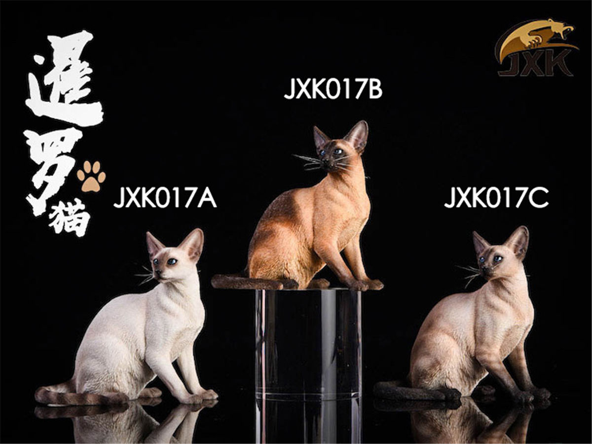 JxK 1:6 Scale Siamese Cat Pet Healing Figure Felidae Animal Model Collector Decoration Toy Resin Gift