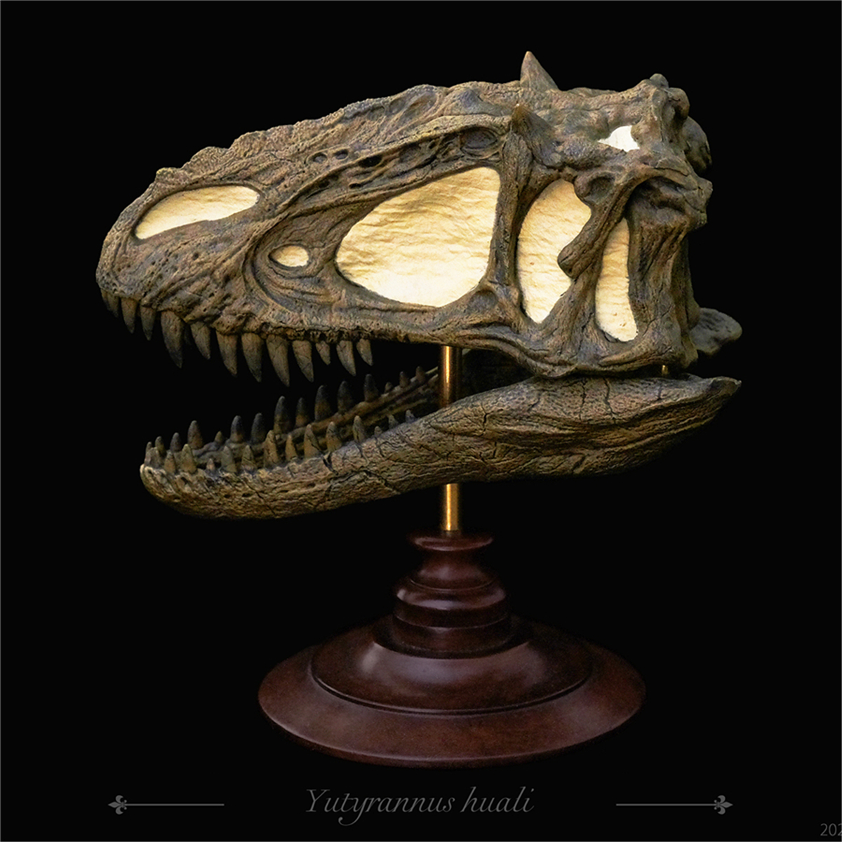 REBOR Carnotaurus Ceratosaurus Yutyrannus Skull Fossil Model Dinosaur Figure Resin Toys Collector Decoration Gift Adult REBOR Carnotaurus Ceratosaurus Yutyrannus Skull Fossil Model Dinosaur Figure Resin Toys Collector Decoration Gift Adult