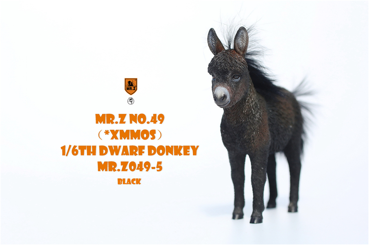 Mr.Z Studio 1:6 Dwarf Donkey Pet Figure Equidae Animal Healing Figure Animal Model Toy Collector Desktop Decoration Adult Gift