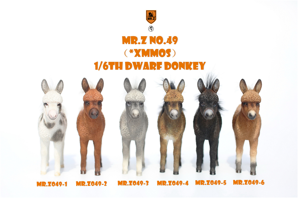 Mr.Z Studio 1:6 Dwarf Donkey Pet Figure Equidae Animal Healing Figure Animal Model Toy Collector Desktop Decoration Adult Gift