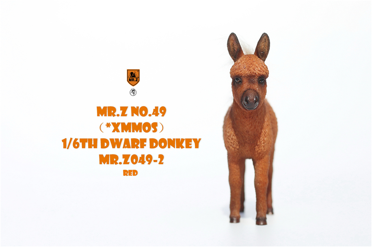 Mr.Z Studio 1:6 Dwarf Donkey Pet Figure Equidae Animal Healing Figure Animal Model Toy Collector Desktop Decoration Adult Gift