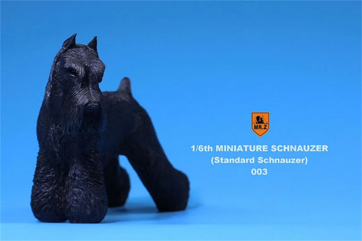 Mr.Z Studio 1:6 Standard Schnauzer Dog Pet Figure Animal Toys Collector Decoration Gift Simulation Model Home Car Decoration Mr.Z Studio 1:6 Standard Schnauzer Dog Pet Figure Animal Toys Collector Decoration Gift Simulation Model Home Car Decoration