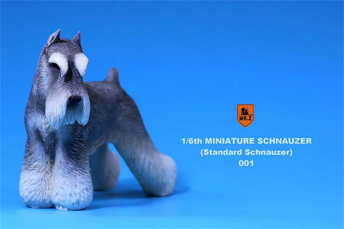 Mr.Z Studio 1:6 Standard Schnauzer Dog Pet Figure Animal Toys Collector Decoration Gift Simulation Model Home Car Decoration Mr.Z Studio 1:6 Standard Schnauzer Dog Pet Figure Animal Toys Collector Decoration Gift Simulation Model Home Car Decoration