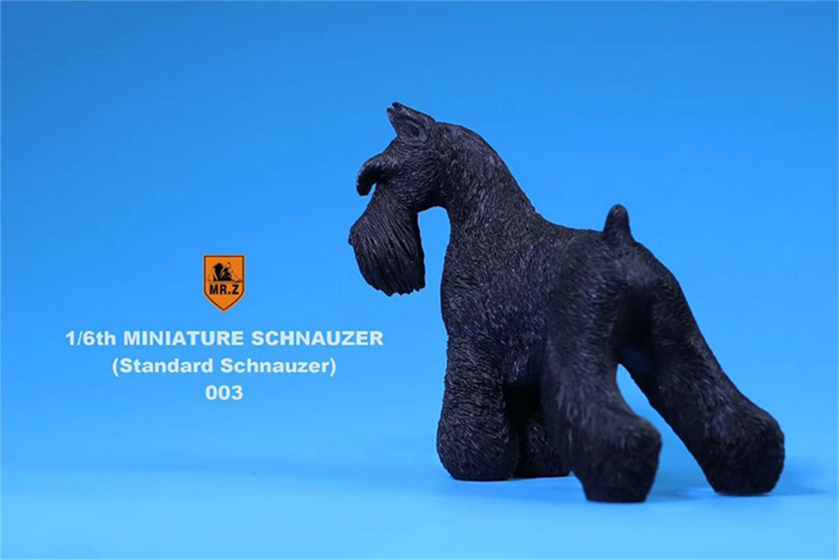 Mr.Z Studio 1:6 Standard Schnauzer Dog Pet Figure Animal Toys Collector Decoration Gift Simulation Model Home Car Decoration Mr.Z Studio 1:6 Standard Schnauzer Dog Pet Figure Animal Toys Collector Decoration Gift Simulation Model Home Car Decoration