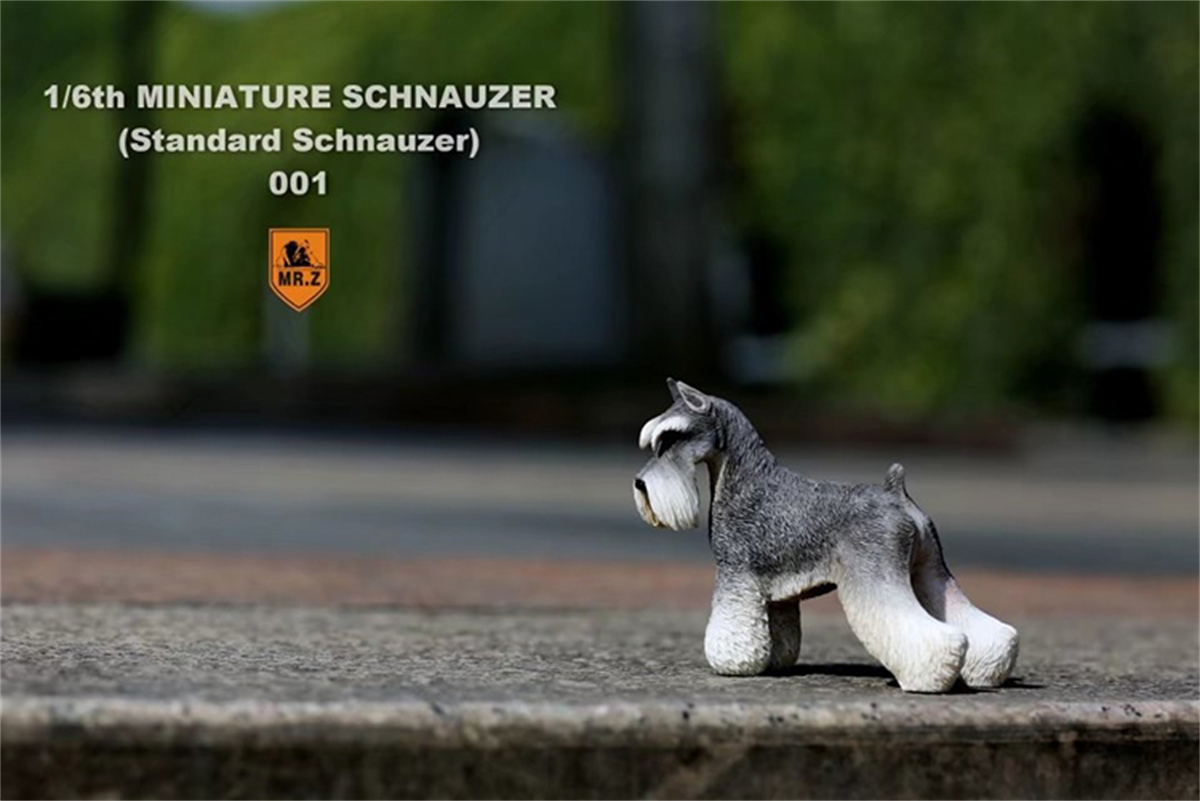 Mr.Z Studio 1:6 Standard Schnauzer Dog Pet Figure Animal Toys Collector Decoration Gift Simulation Model Home Car Decoration Mr.Z Studio 1:6 Standard Schnauzer Dog Pet Figure Animal Toys Collector Decoration Gift Simulation Model Home Car Decoration