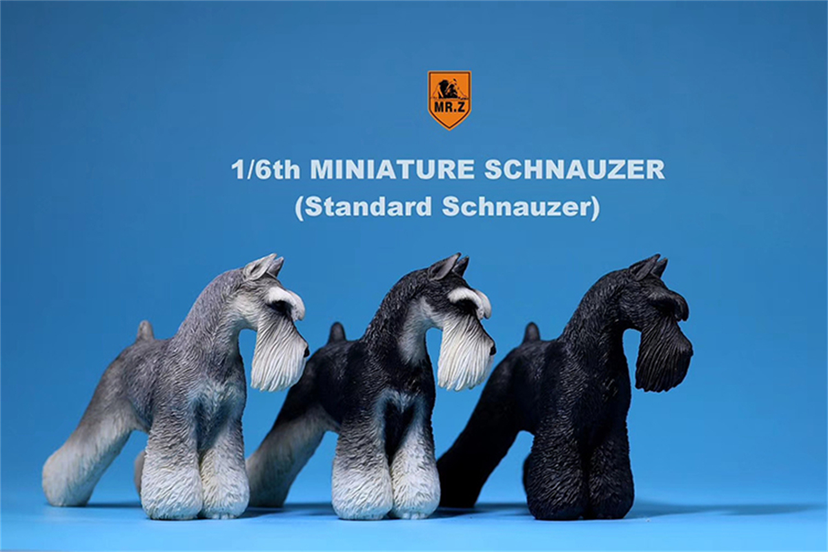 Mr.Z Studio 1:6 Standard Schnauzer Dog Pet Figure Animal Toys Collector Decoration Gift Simulation Model Home Car Decoration Mr.Z Studio 1:6 Standard Schnauzer Dog Pet Figure Animal Toys Collector Decoration Gift Simulation Model Home Car Decoration
