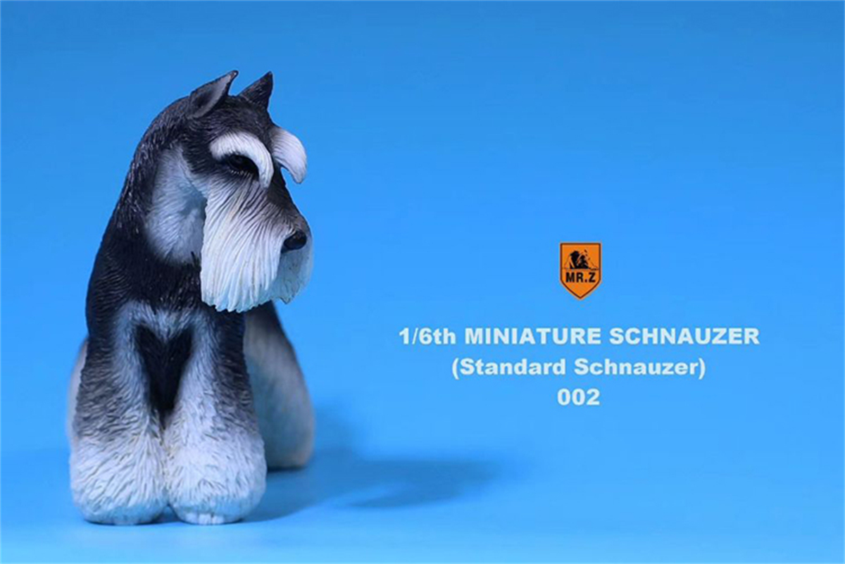 Mr.Z Studio 1:6 Standard Schnauzer Dog Pet Figure Animal Toys Collector Decoration Gift Simulation Model Home Car Decoration Mr.Z Studio 1:6 Standard Schnauzer Dog Pet Figure Animal Toys Collector Decoration Gift Simulation Model Home Car Decoration