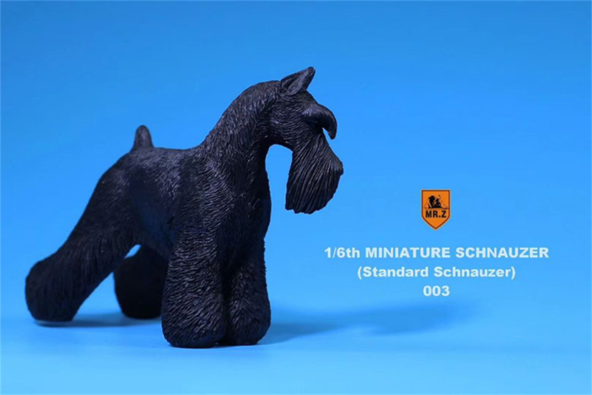Mr.Z Studio 1:6 Standard Schnauzer Dog Pet Figure Animal Toys Collector Decoration Gift Simulation Model Home Car Decoration Mr.Z Studio 1:6 Standard Schnauzer Dog Pet Figure Animal Toys Collector Decoration Gift Simulation Model Home Car Decoration