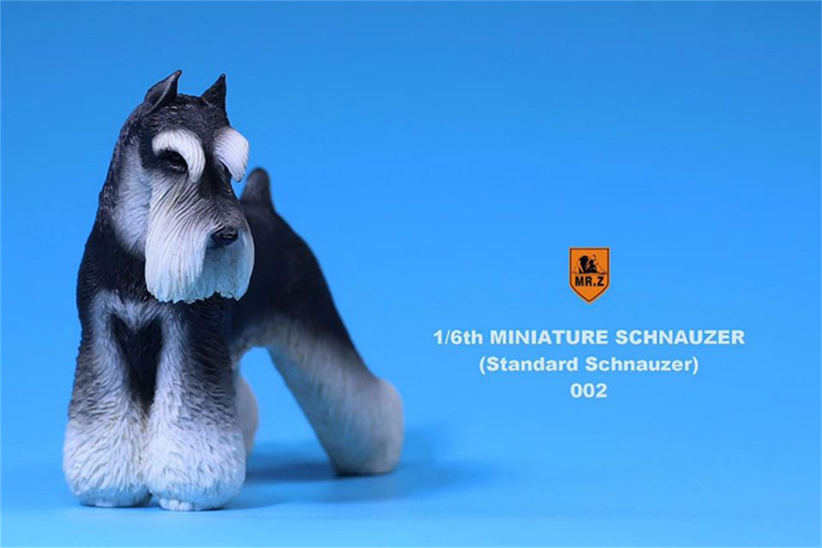 Mr.Z Studio 1:6 Standard Schnauzer Dog Pet Figure Animal Toys Collector Decoration Gift Simulation Model Home Car Decoration Mr.Z Studio 1:6 Standard Schnauzer Dog Pet Figure Animal Toys Collector Decoration Gift Simulation Model Home Car Decoration