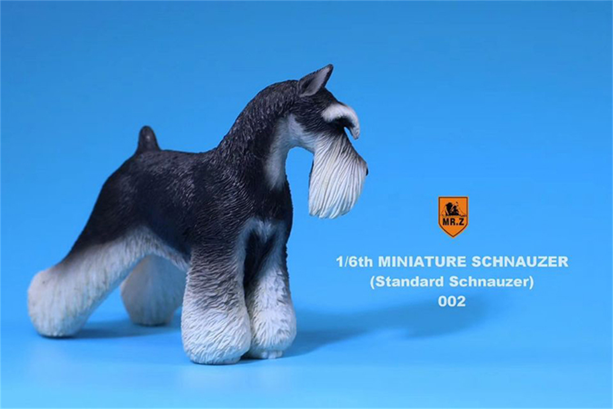 Mr.Z Studio 1:6 Standard Schnauzer Dog Pet Figure Animal Toys Collector Decoration Gift Simulation Model Home Car Decoration Mr.Z Studio 1:6 Standard Schnauzer Dog Pet Figure Animal Toys Collector Decoration Gift Simulation Model Home Car Decoration