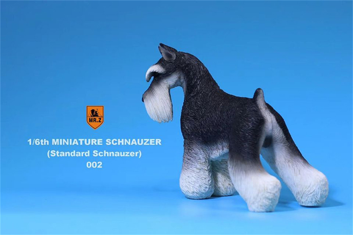 Mr.Z Studio 1:6 Standard Schnauzer Dog Pet Figure Animal Toys Collector Decoration Gift Simulation Model Home Car Decoration Mr.Z Studio 1:6 Standard Schnauzer Dog Pet Figure Animal Toys Collector Decoration Gift Simulation Model Home Car Decoration