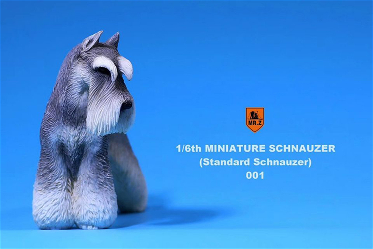 Mr.Z Studio 1:6 Standard Schnauzer Dog Pet Figure Animal Toys Collector Decoration Gift Simulation Model Home Car Decoration Mr.Z Studio 1:6 Standard Schnauzer Dog Pet Figure Animal Toys Collector Decoration Gift Simulation Model Home Car Decoration